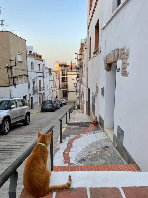 Townhouse - Casa Rustica Entre Mar Y Montana Villa Alcanar Luaran gambar